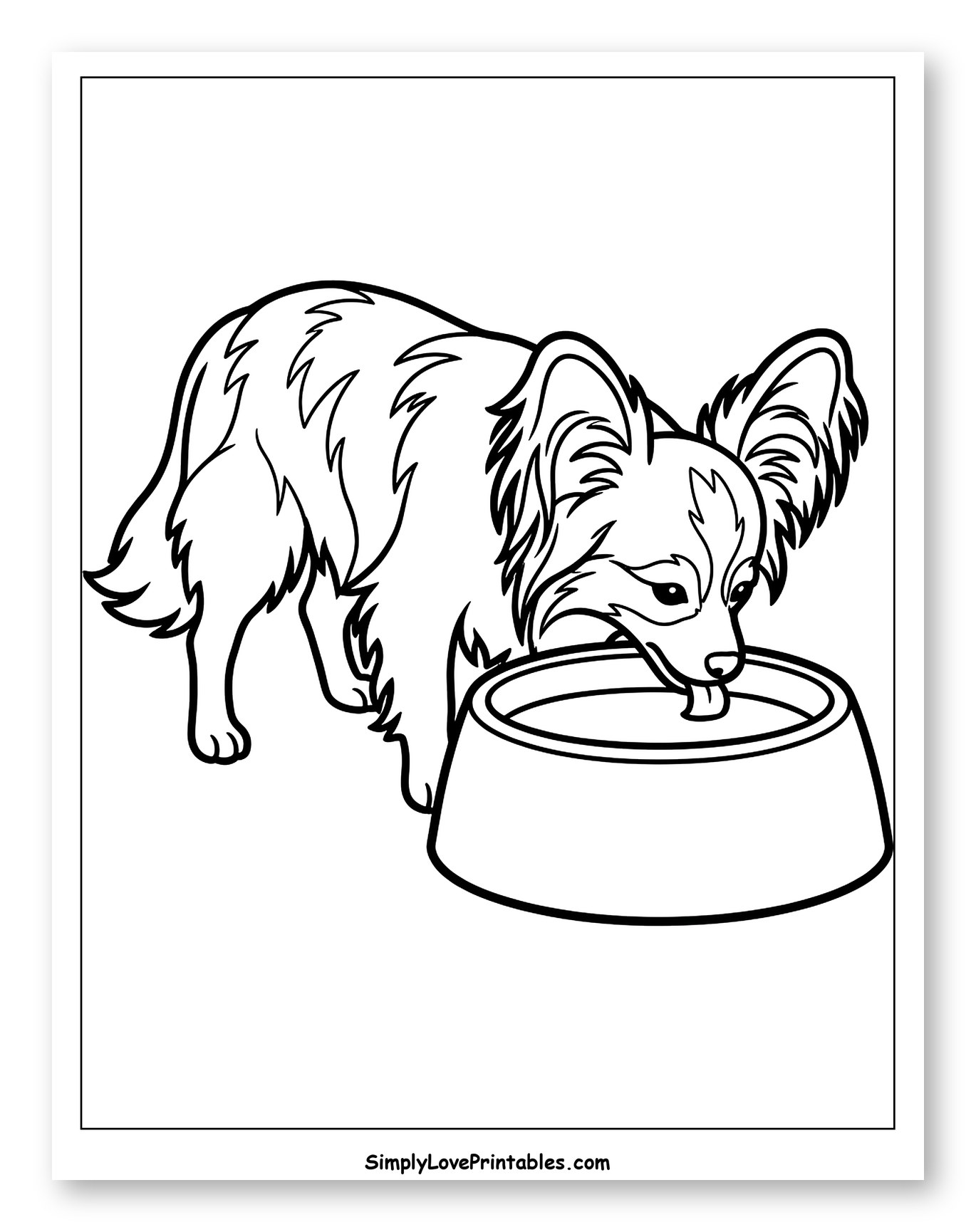 Papillon Dog Drinking from a Water Bowl Coloring Page for Toddlers