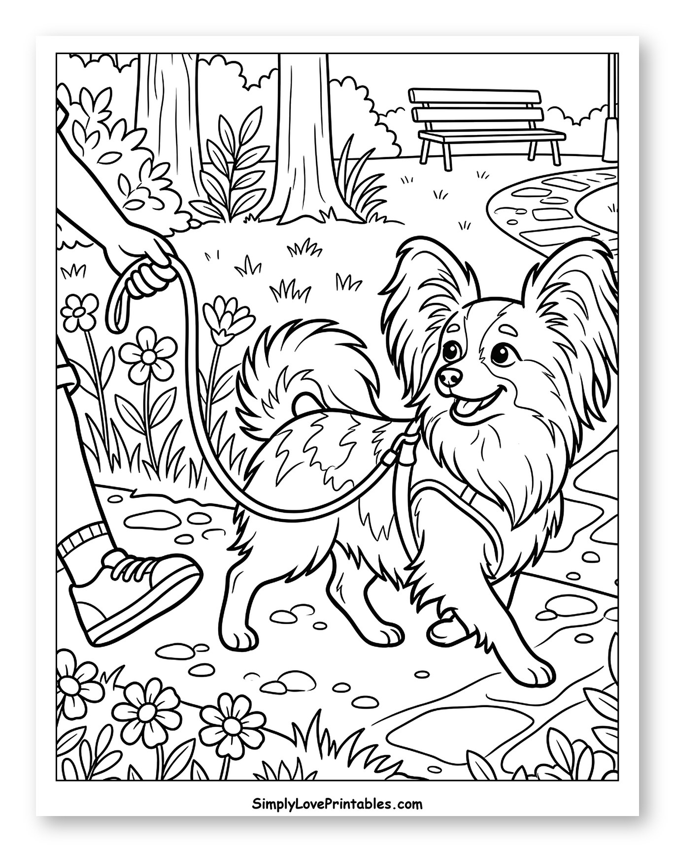 Papillon Dog Walking on Park Path