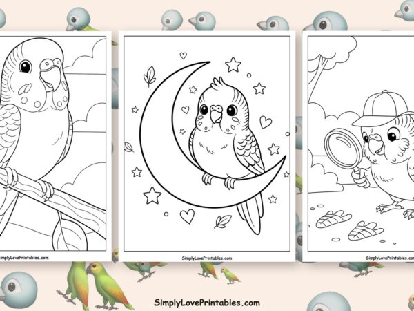Parakeet coloring pages featured image