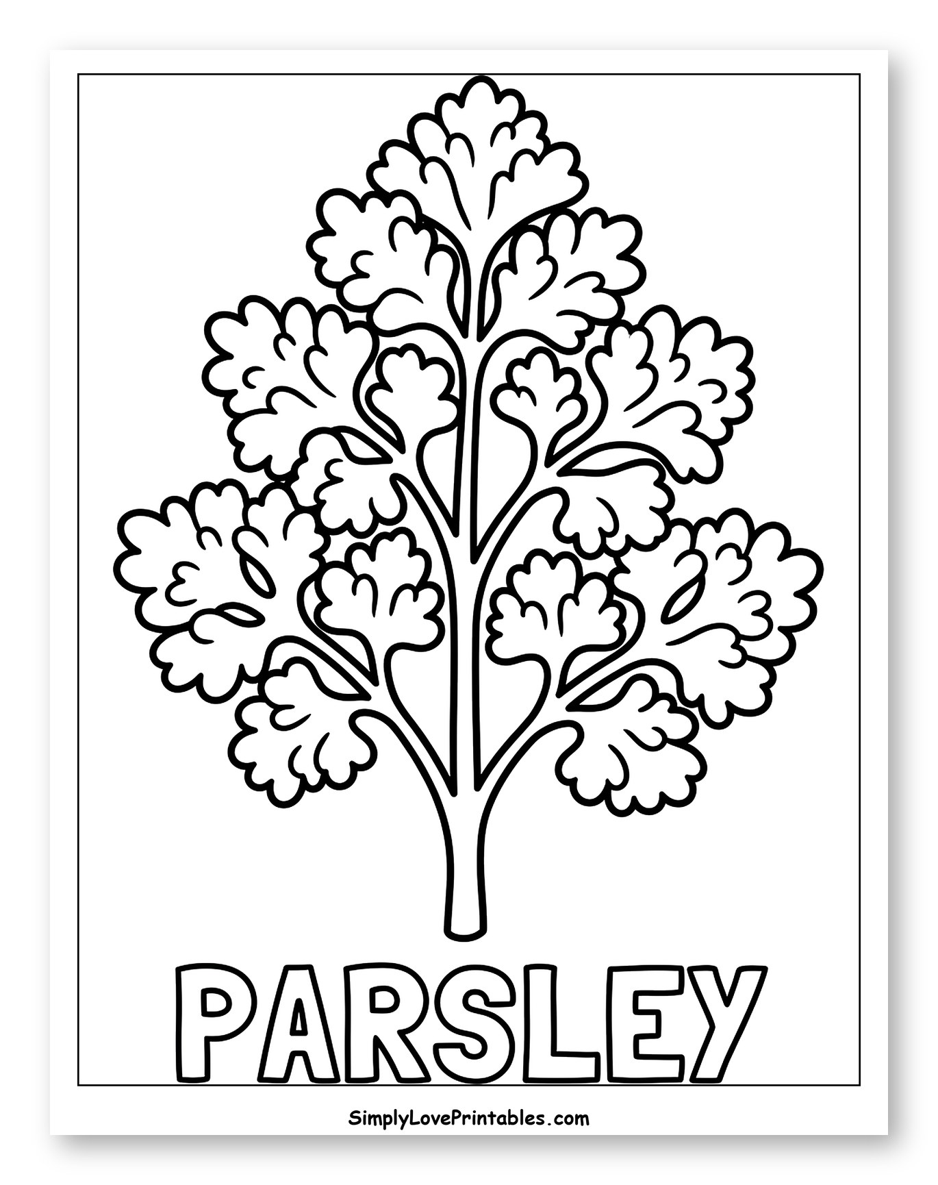 Parsley Herb Plant with Text
