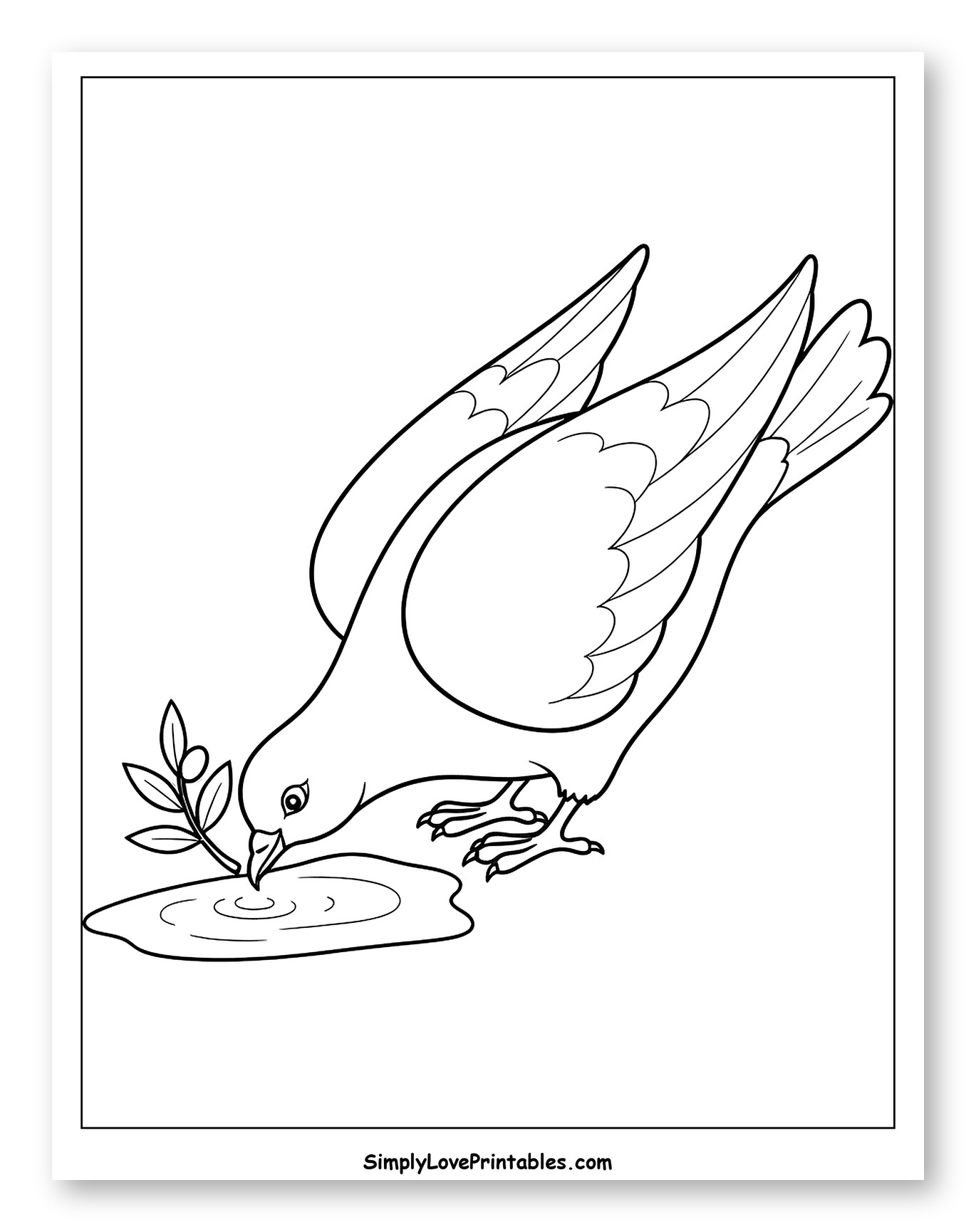 Peace Dove Drinking Water with Olive Branch