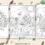Peacock coloring pages featured image