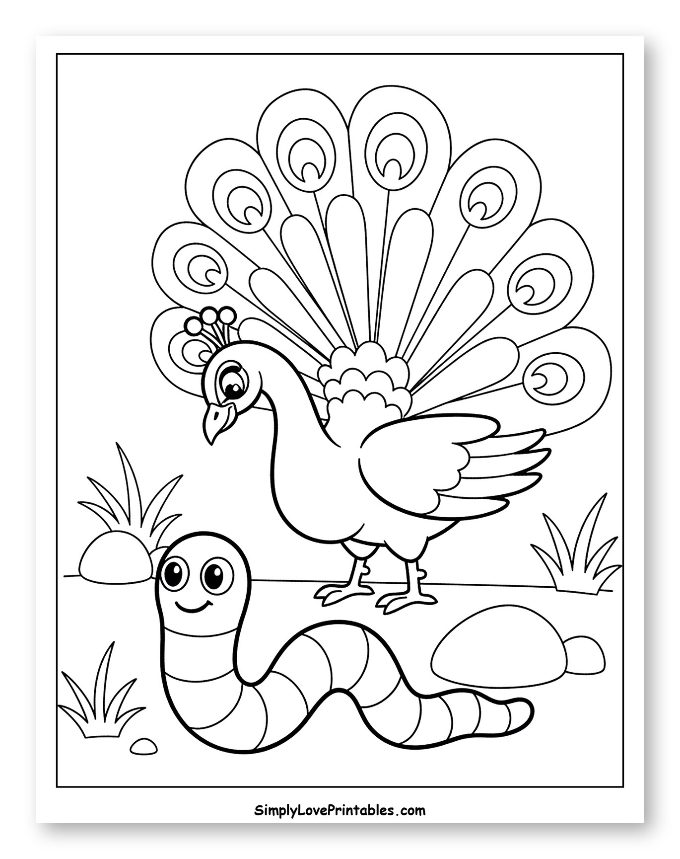 Peacock with Open Tail and Worm Coloring Page for Toddlers