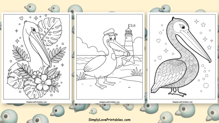 pelican coloring pages featured image