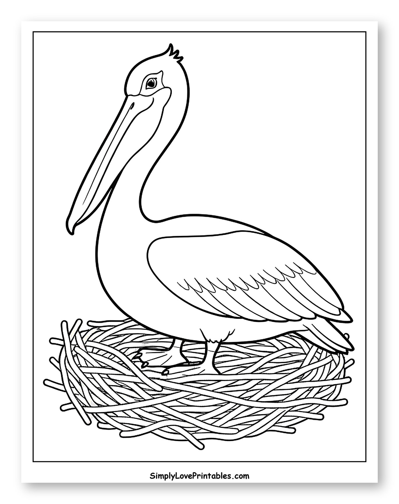 Pelican Sitting in a Bird Nest Coloring Page for Toddlers