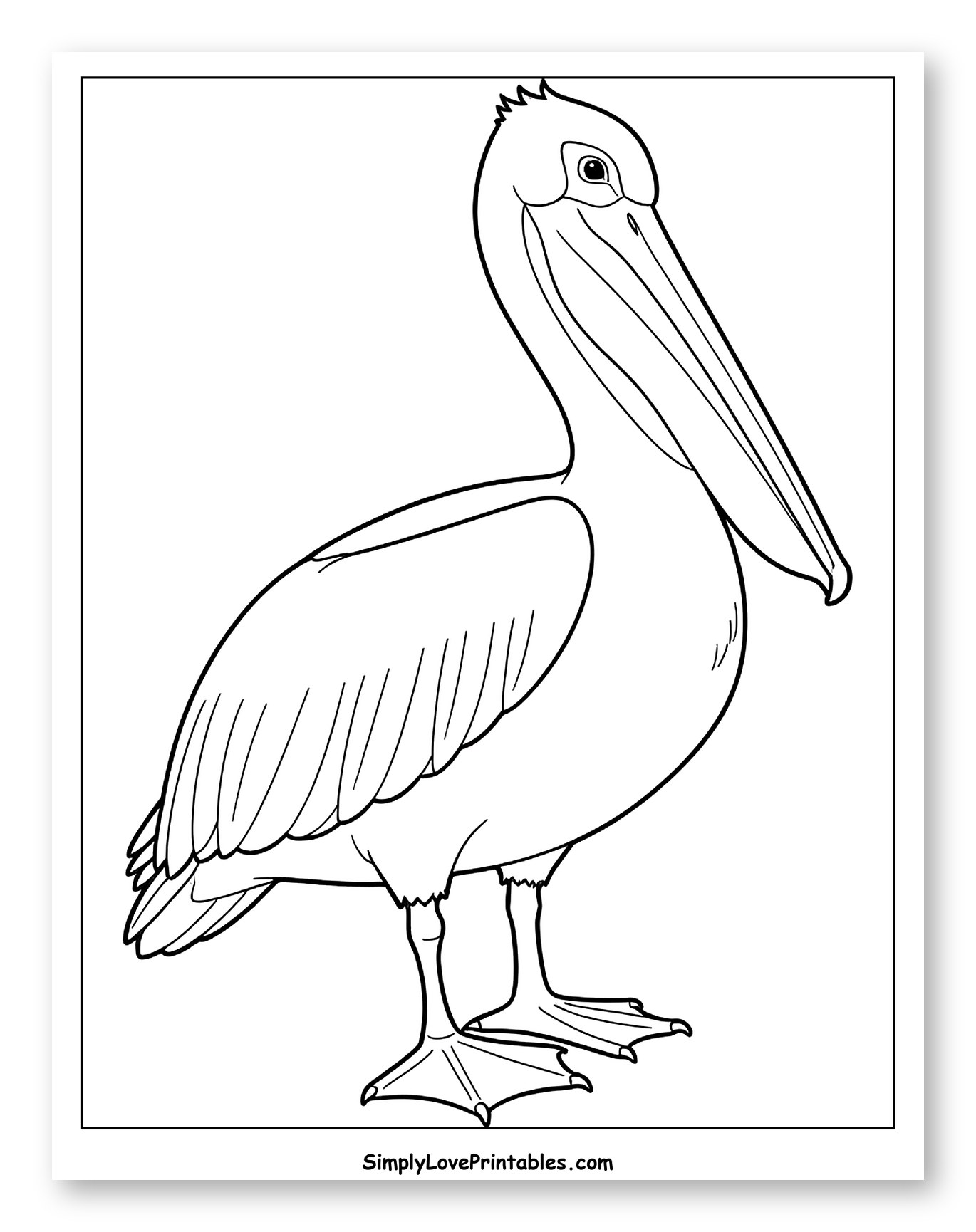 Pelican Standing Full Body Drawing Coloring Sheet for Toddlers
