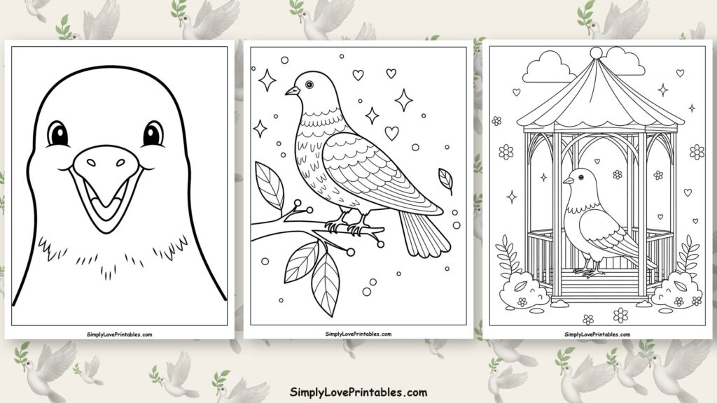 Pigeon coloring pages featured image