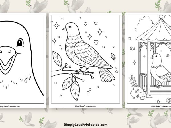 Pigeon coloring pages featured image