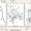 Pigeon coloring pages featured image