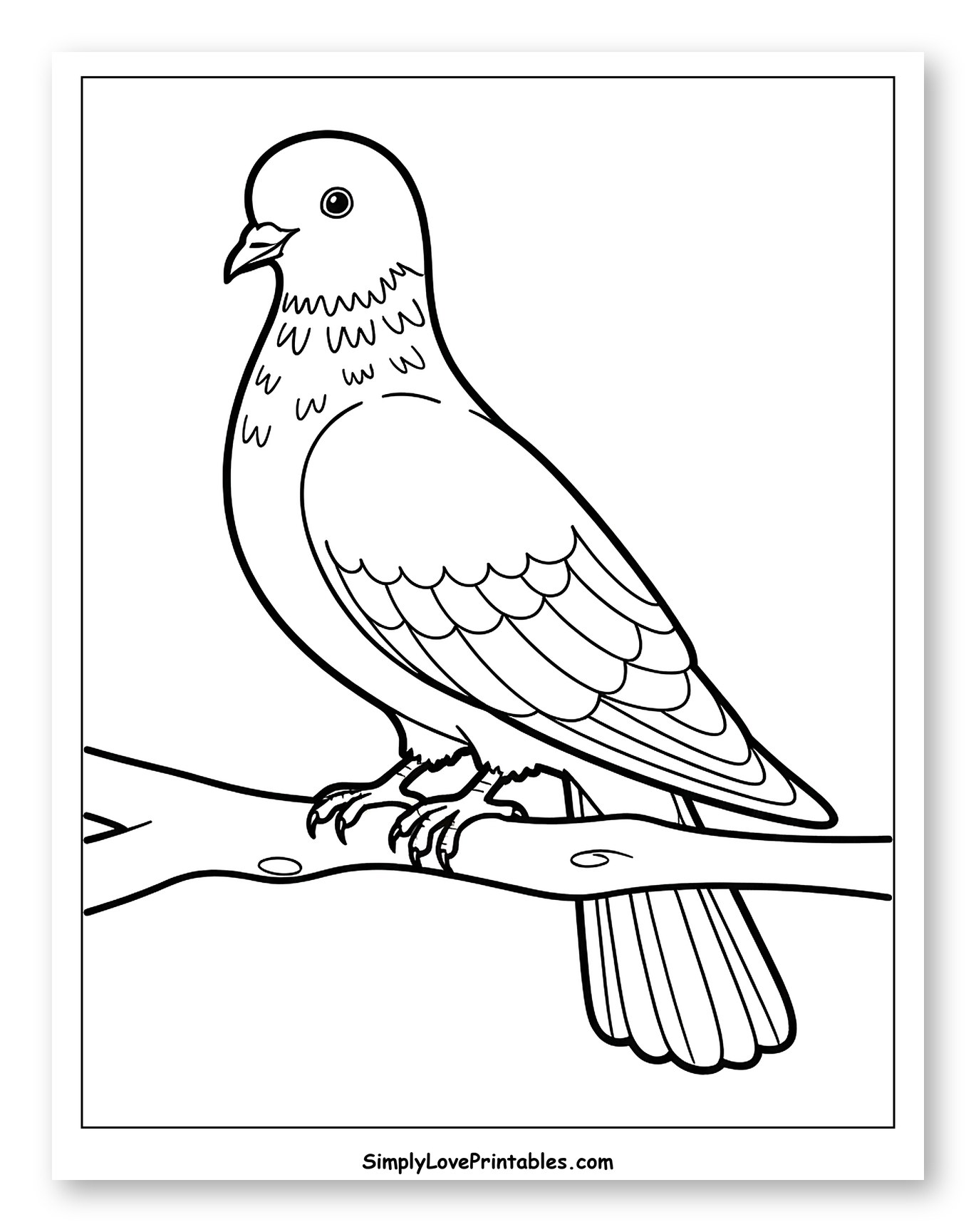 Pigeon Perched on a Tree Branch Coloring Page for Toddlers