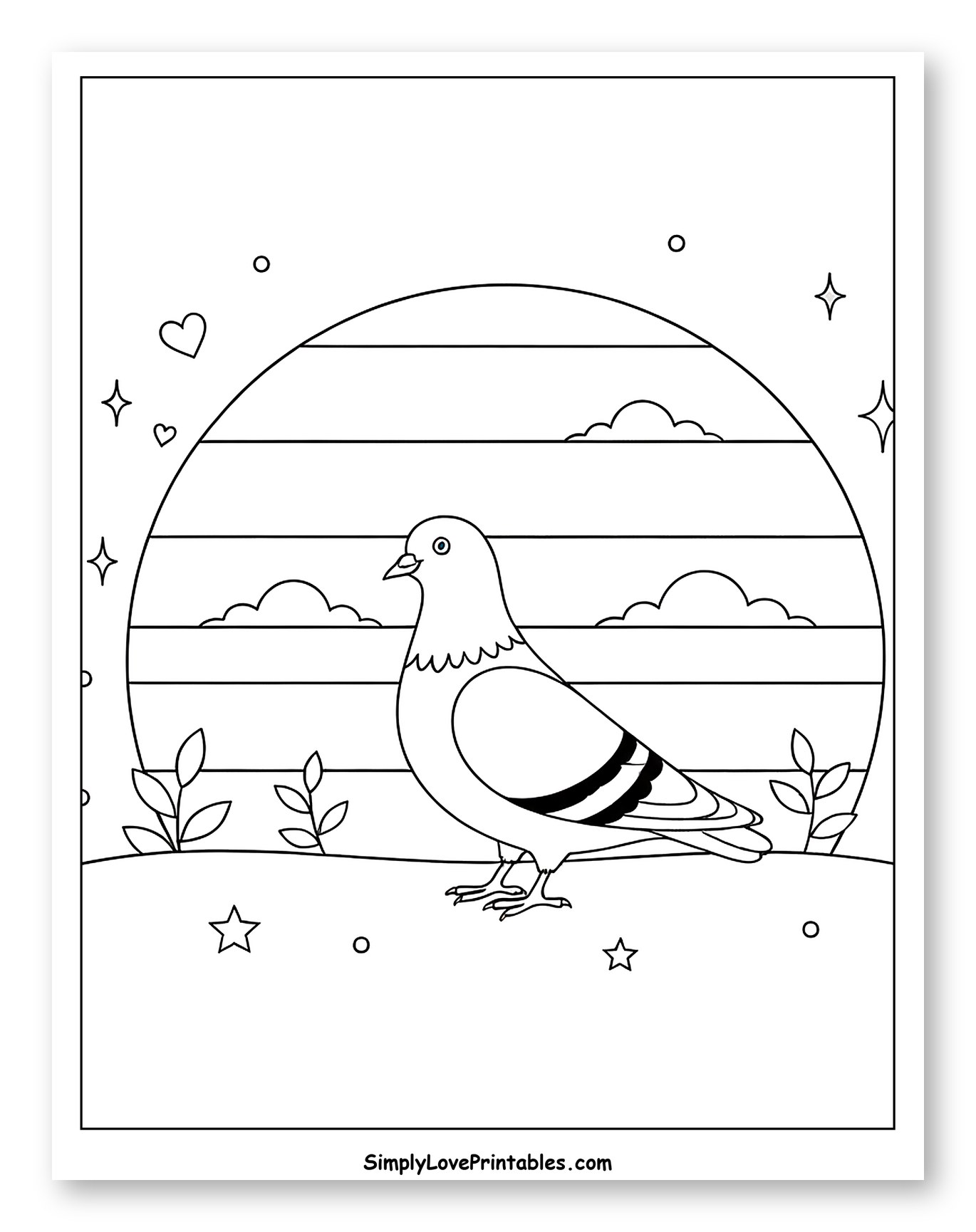 Pigeon with Sunset and Clouds