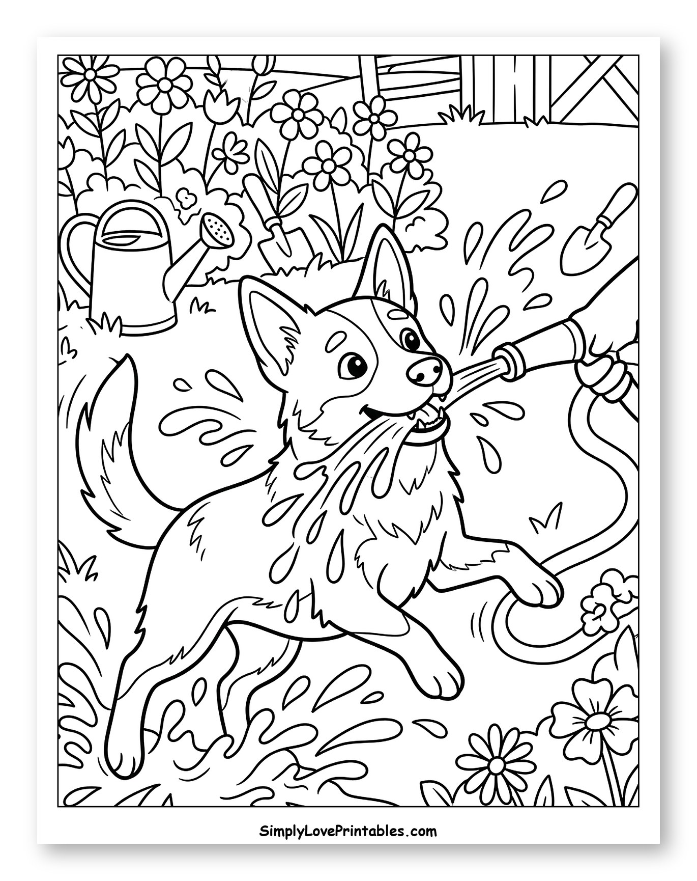 Playful Australian Cattle Dog with Garden Hose to Color for Kids