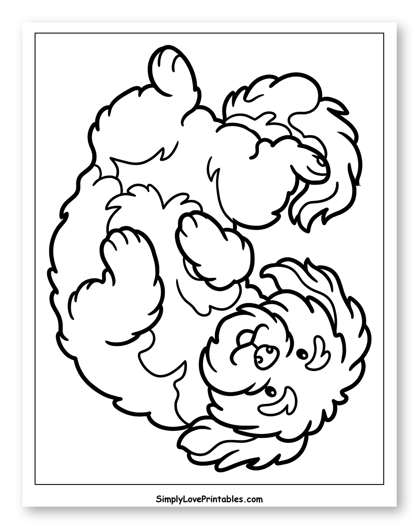 Playful Havanese Dog Rolling on Its Back to Color for Toddlers