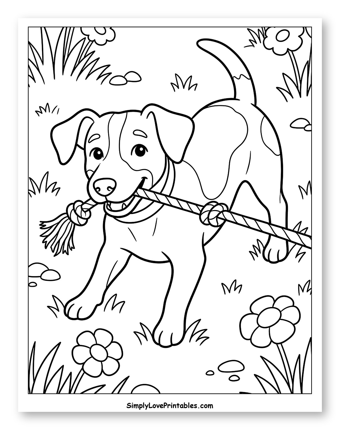 Playful Jack Russell Puppy with Rope Toy Outdoors to Color for Kids
