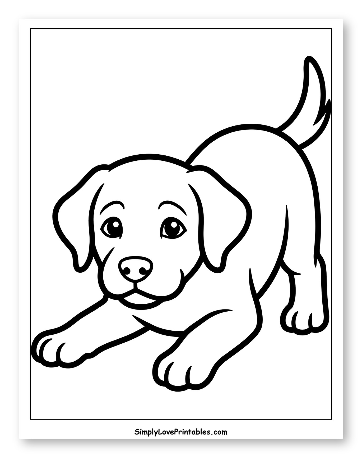 Playful Labrador Puppy Bowing