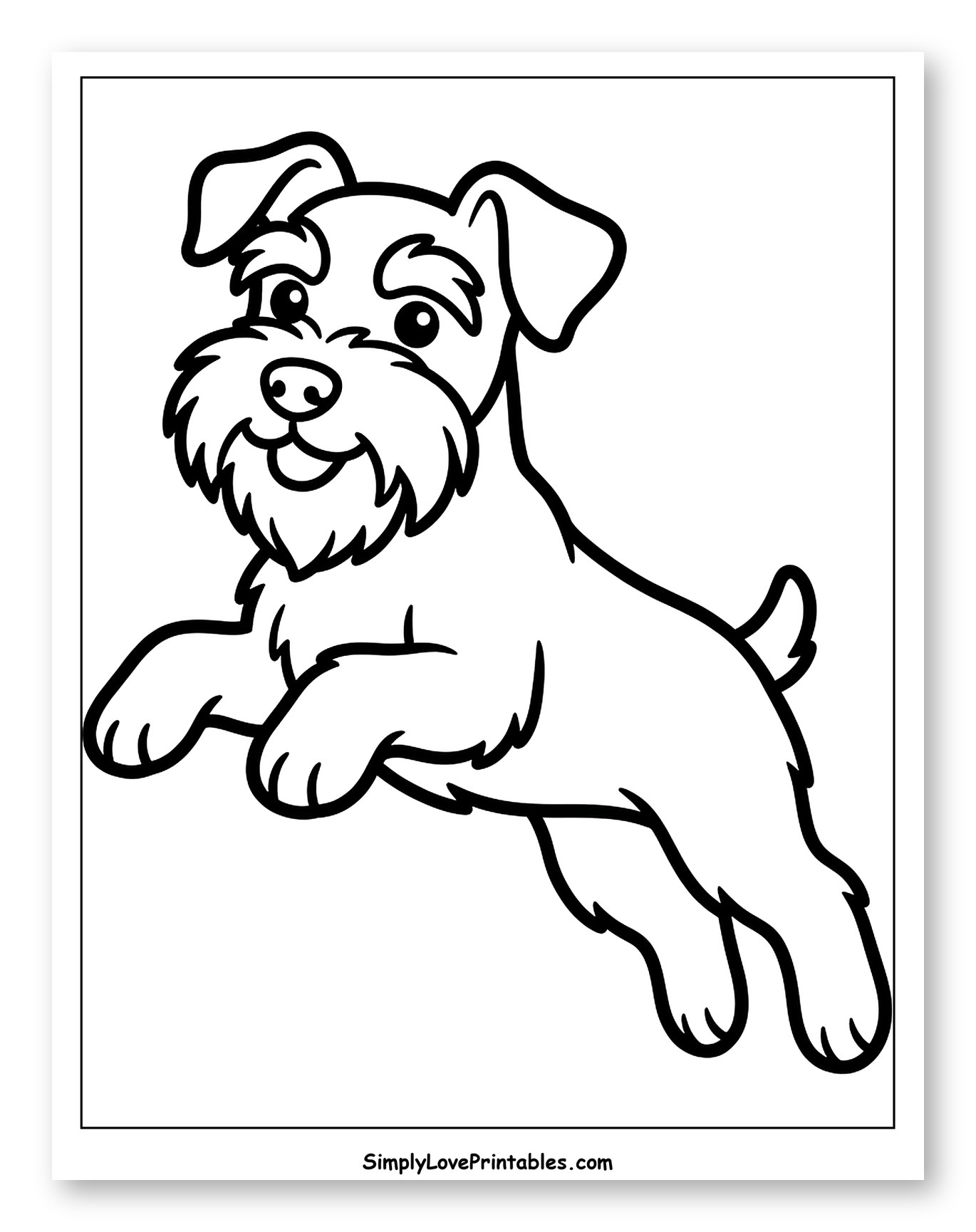Playful Miniature Schnauzer Dog Jumping