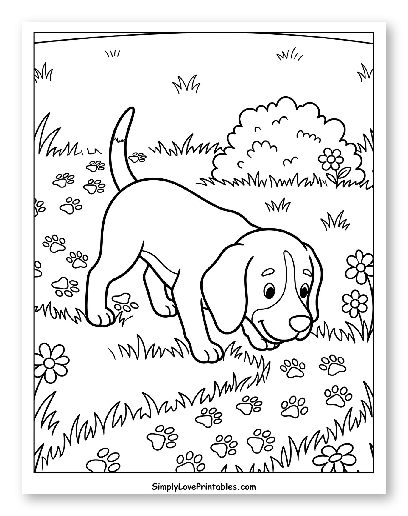 Playful Puppy Discovering Paw Prints Outdoors