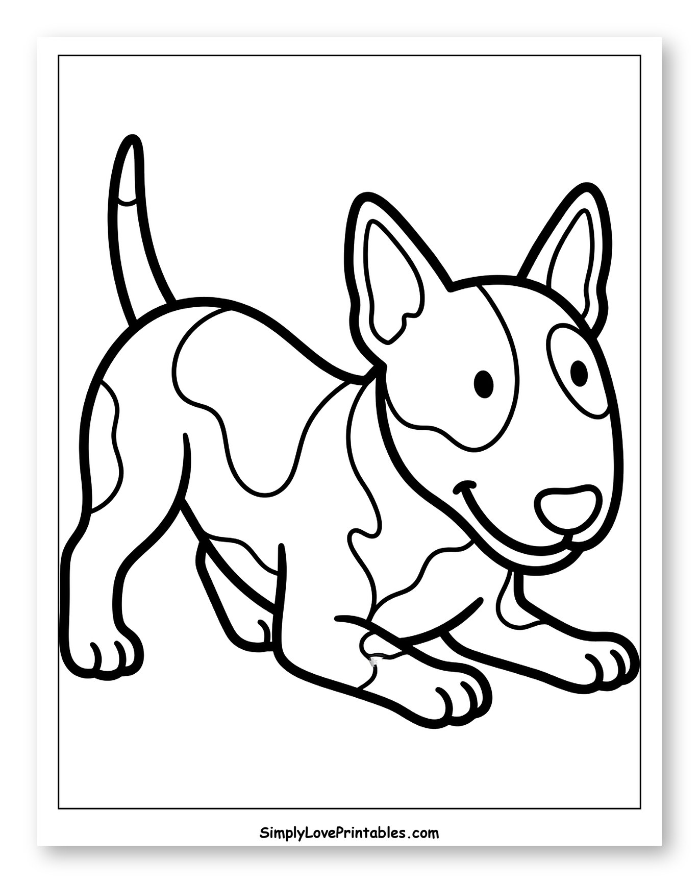 Playful Spotted Bull Terrier Puppy