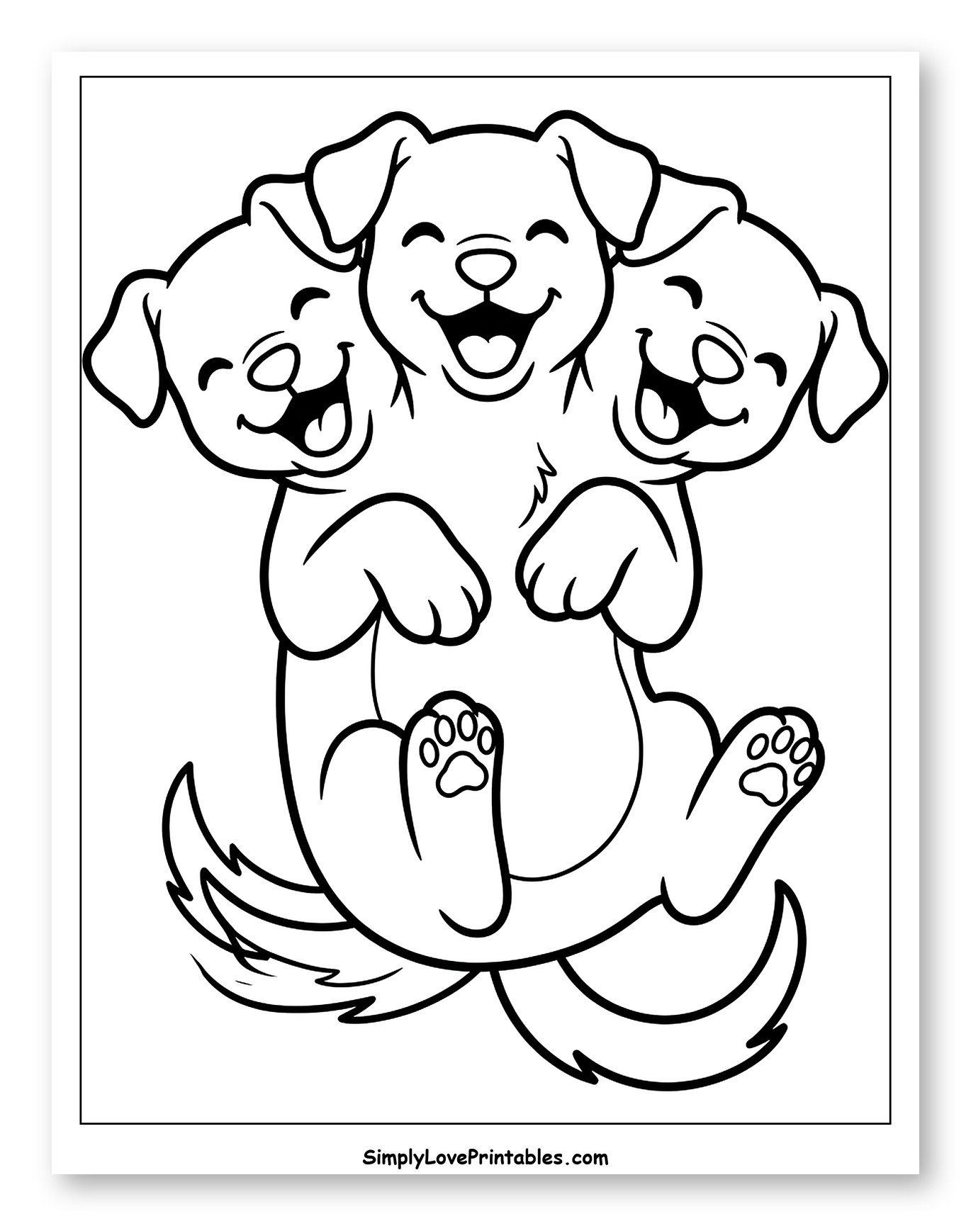 Playful Three-Headed Puppy Lying Down
