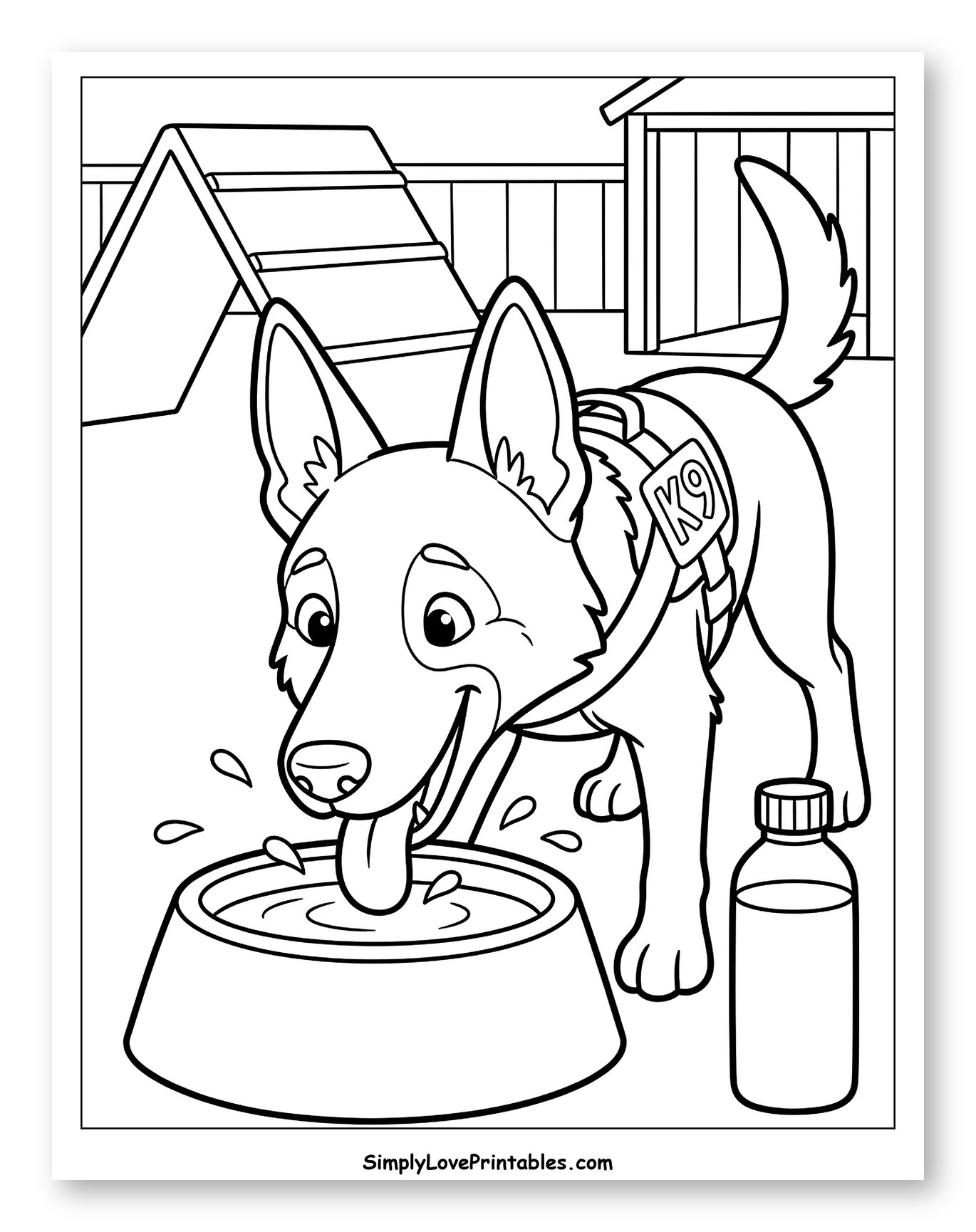 Police K9 Dog Drinking Water at Training Ground
