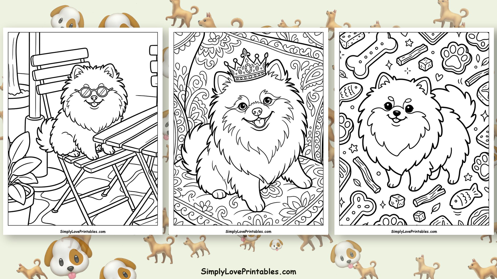 Pomeranian
