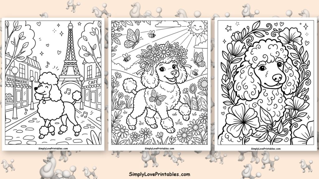 Poodle coloring pages featured image