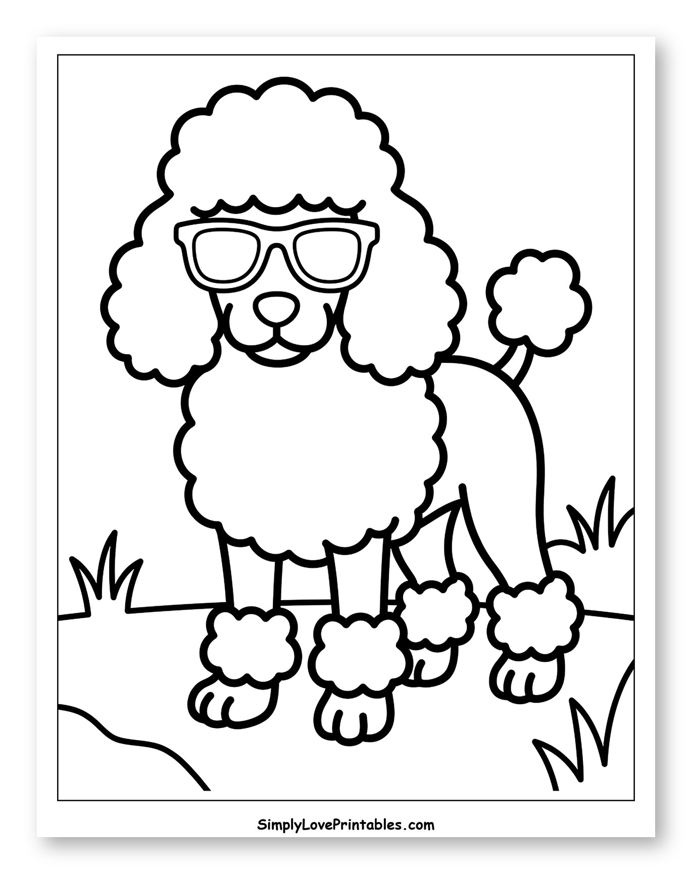 Poodle Wearing Sunglasses on Grass