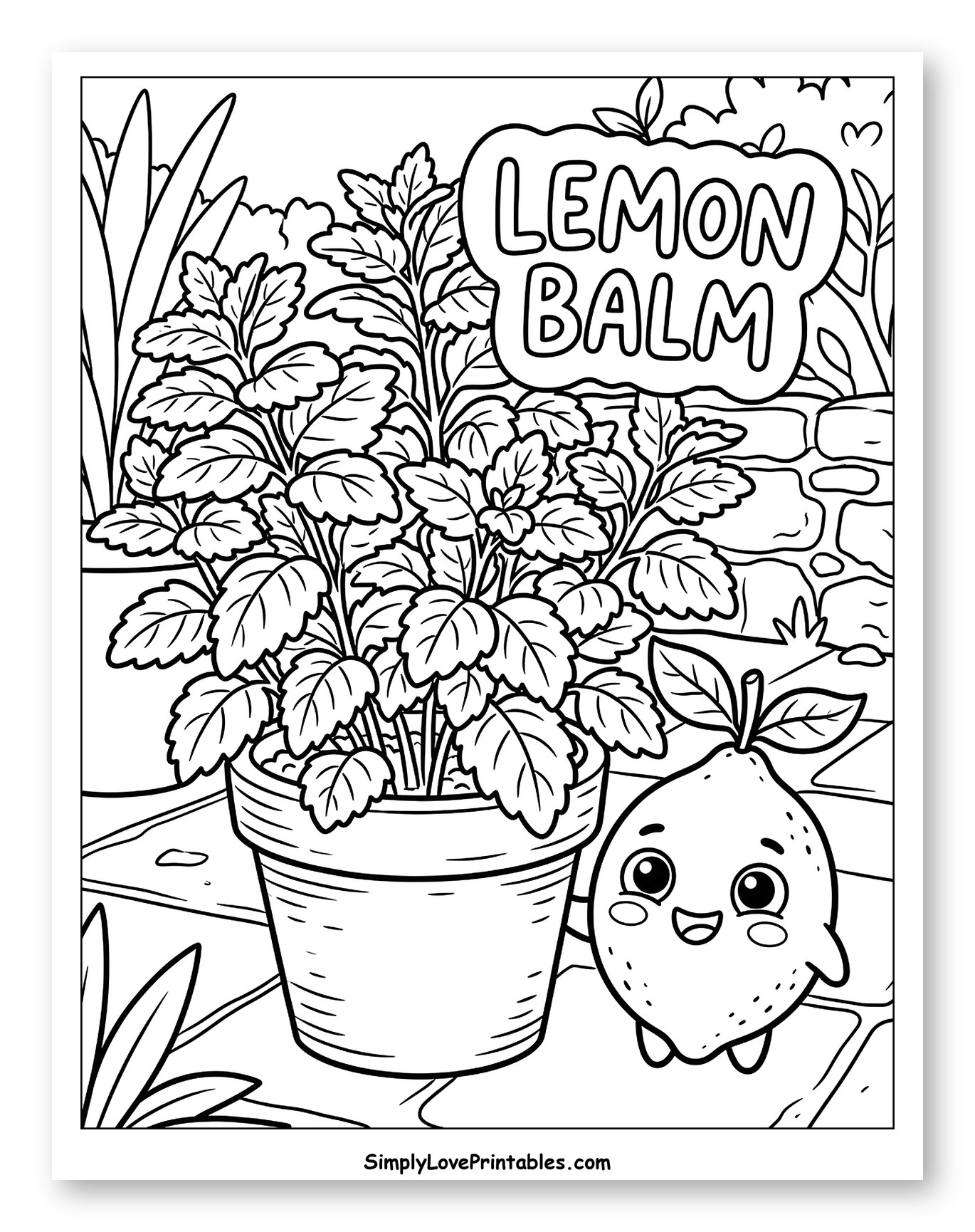 Potted Lemon Balm Plant with Cute Lemon