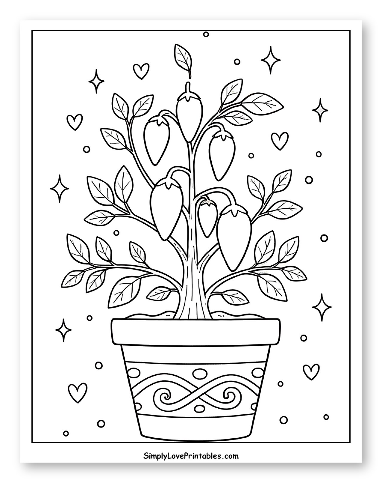 Potted Pepper Plant with Many Chilis