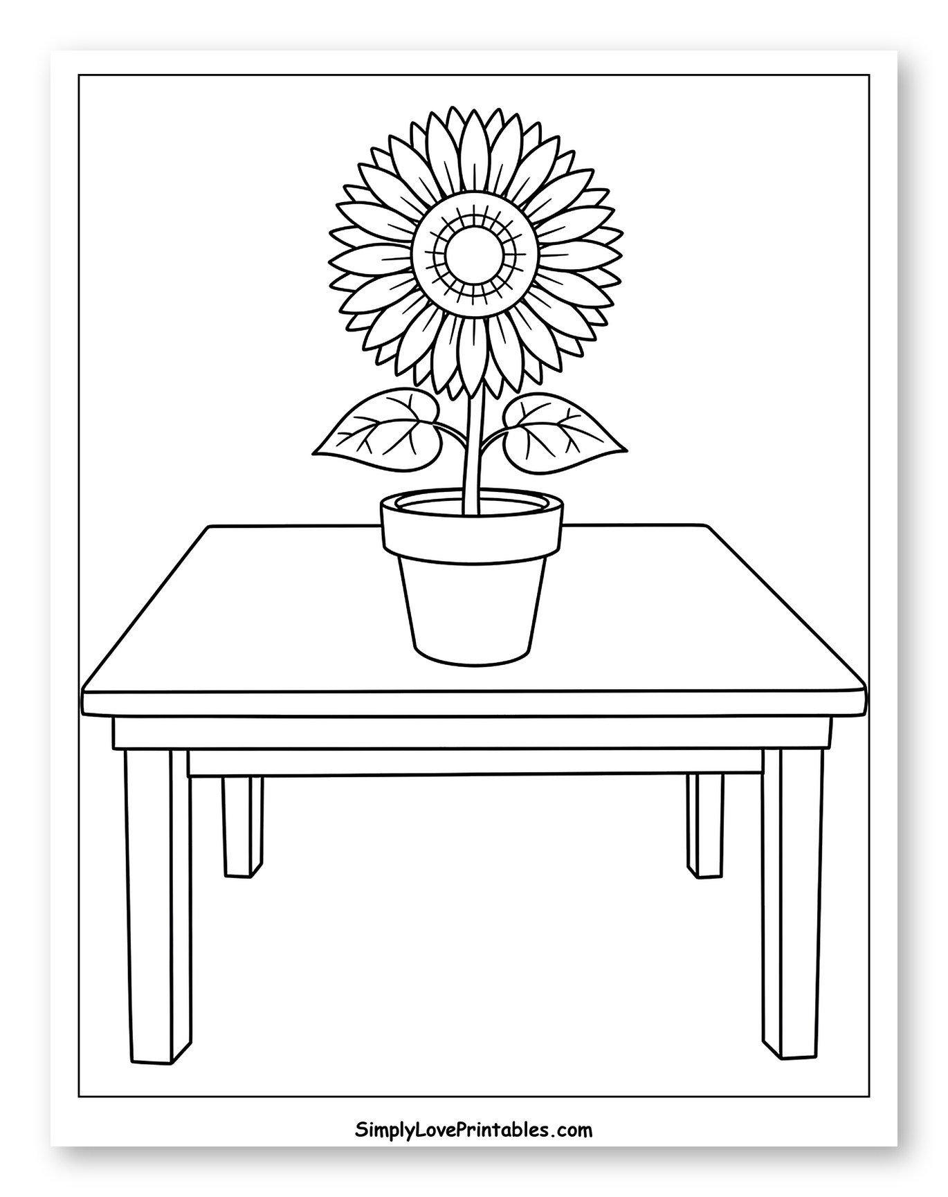 Potted Sunflower Plant on a Wooden Table
