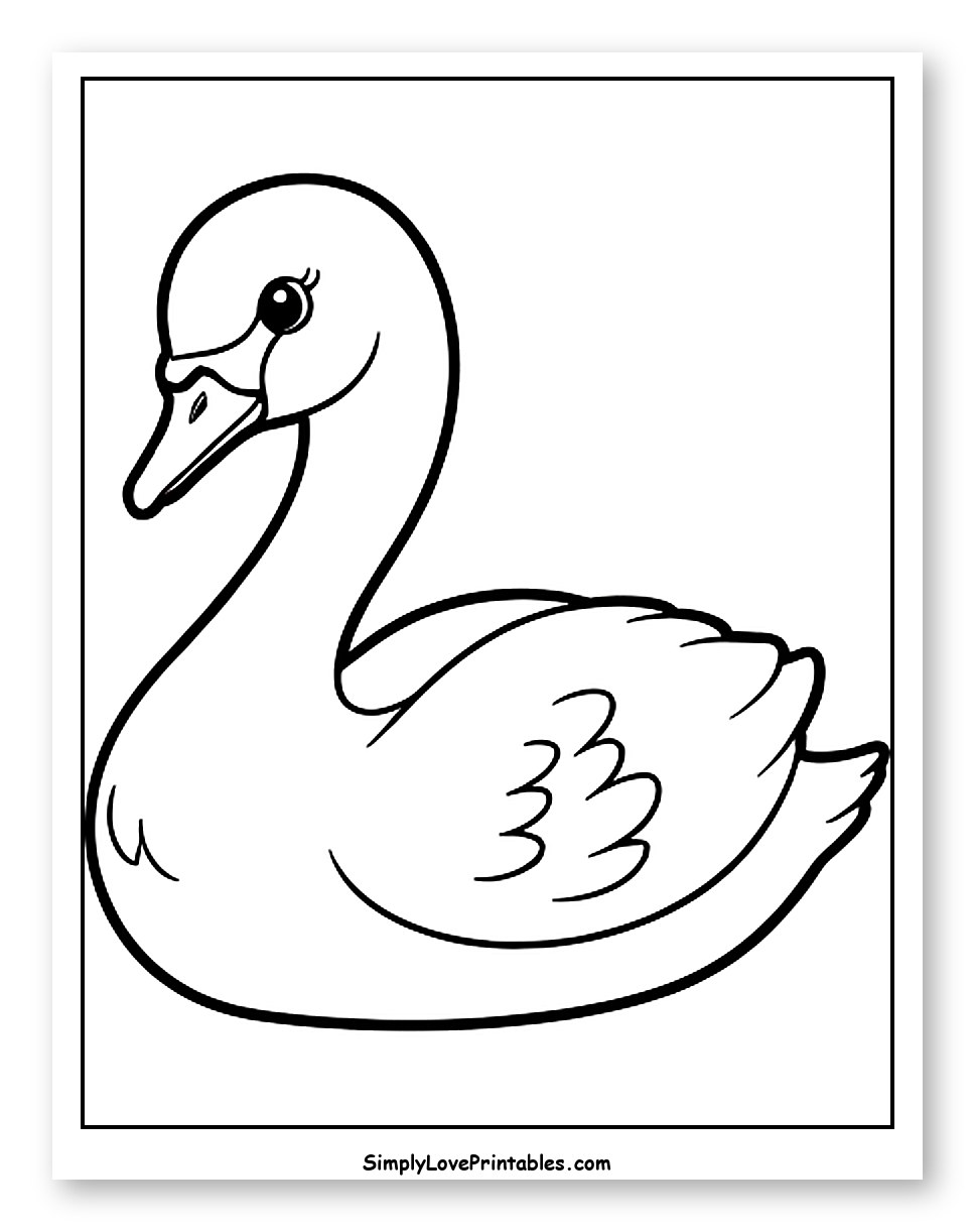 Pretty Swan with Eyelashes