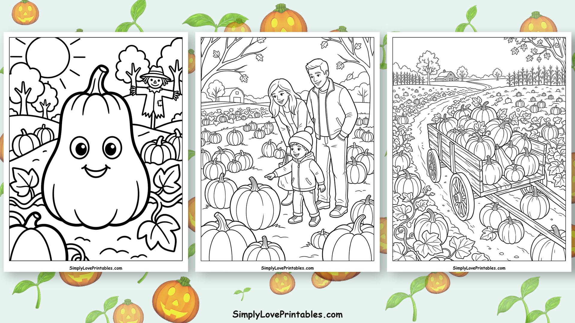 Pumpkin Patch