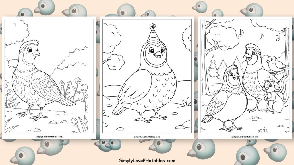 Quail coloring pages featured image