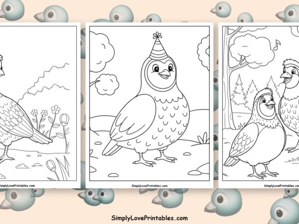 Quail coloring pages featured image