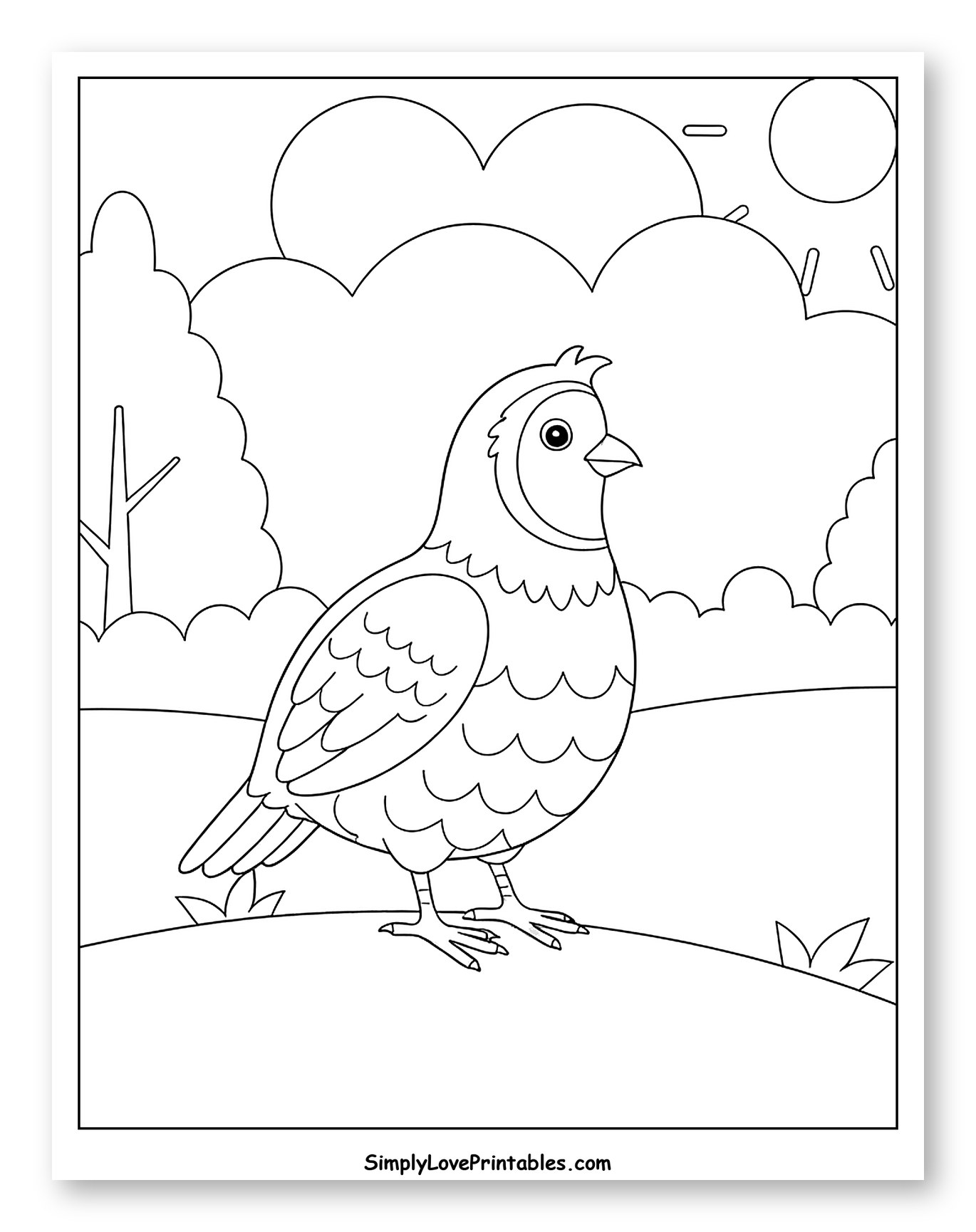 Quail Standing in a Sunny Field Coloring Page for Toddlers