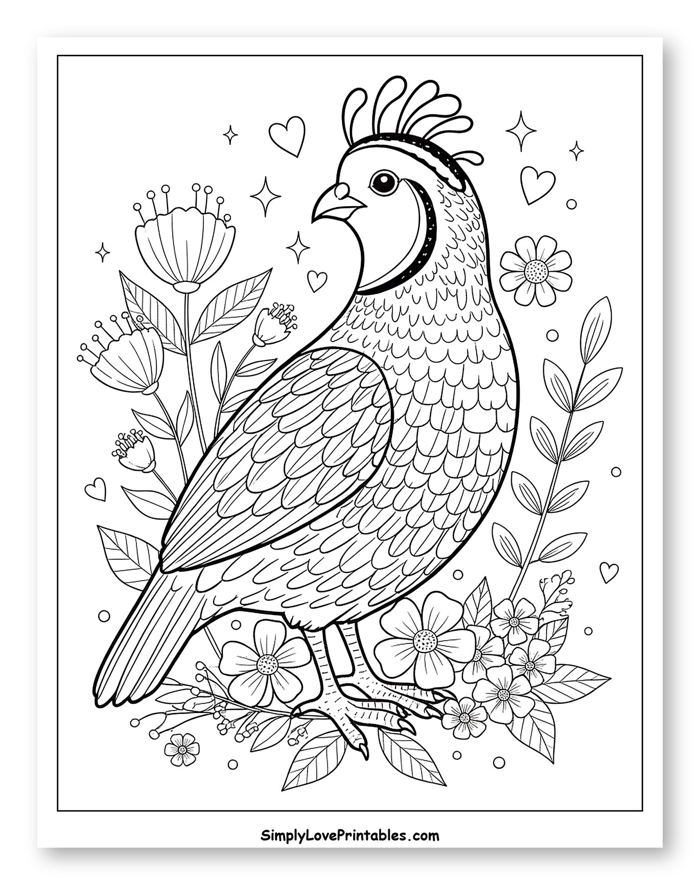 Quail with Crest Surrounded by Flowers Coloring Sheet for Adults