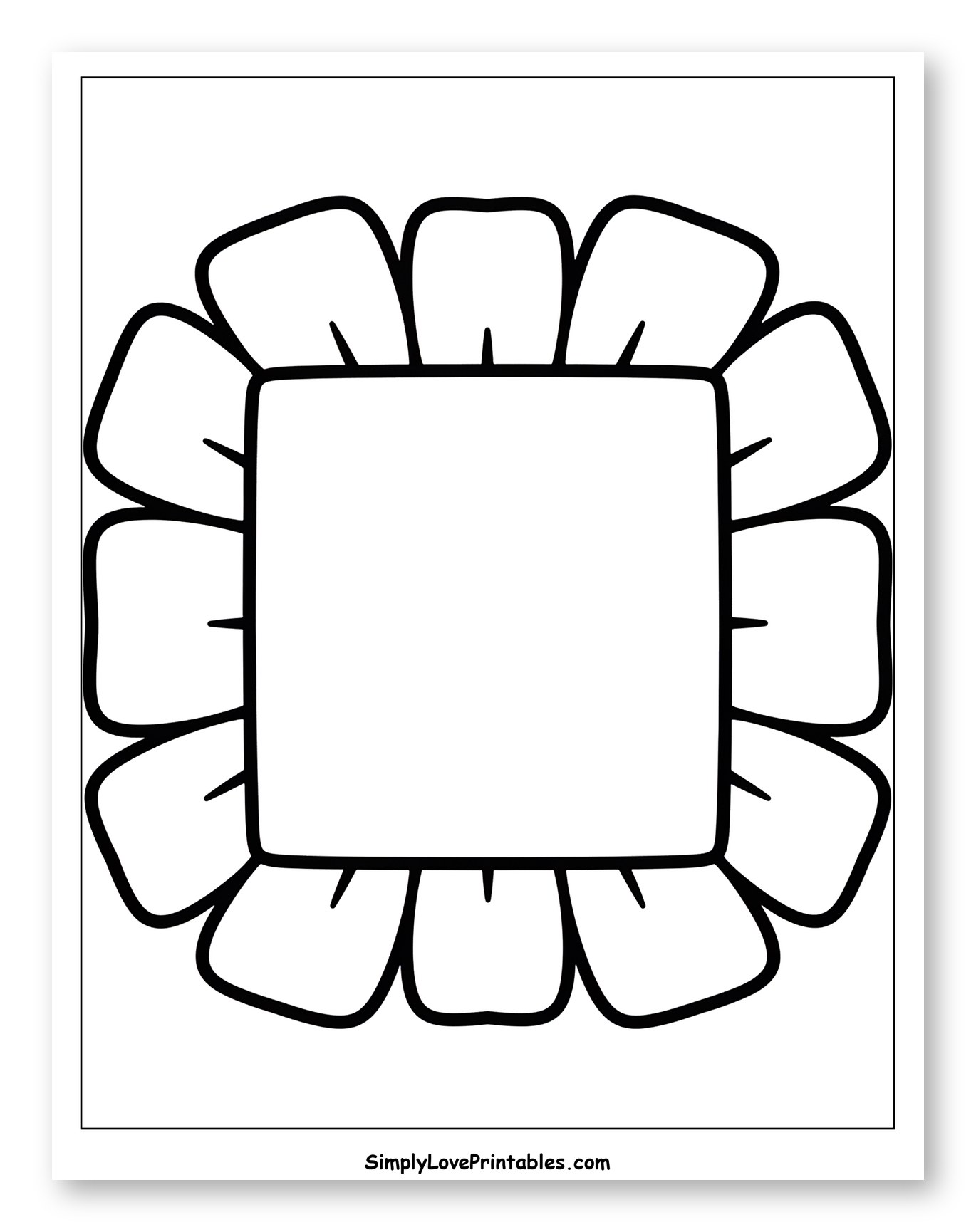 Rectangular Frame with Petal Border
