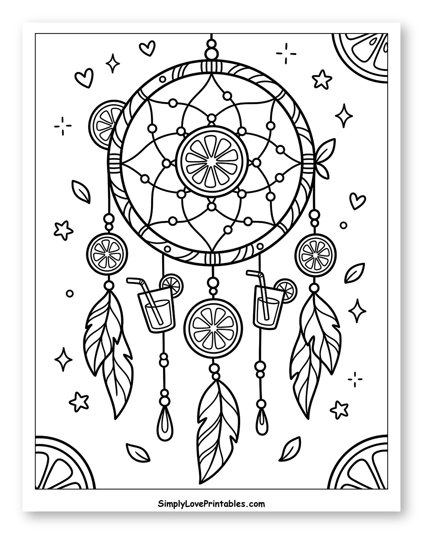 Refreshing Lemon Dreamcatcher with Drinks and Feathers