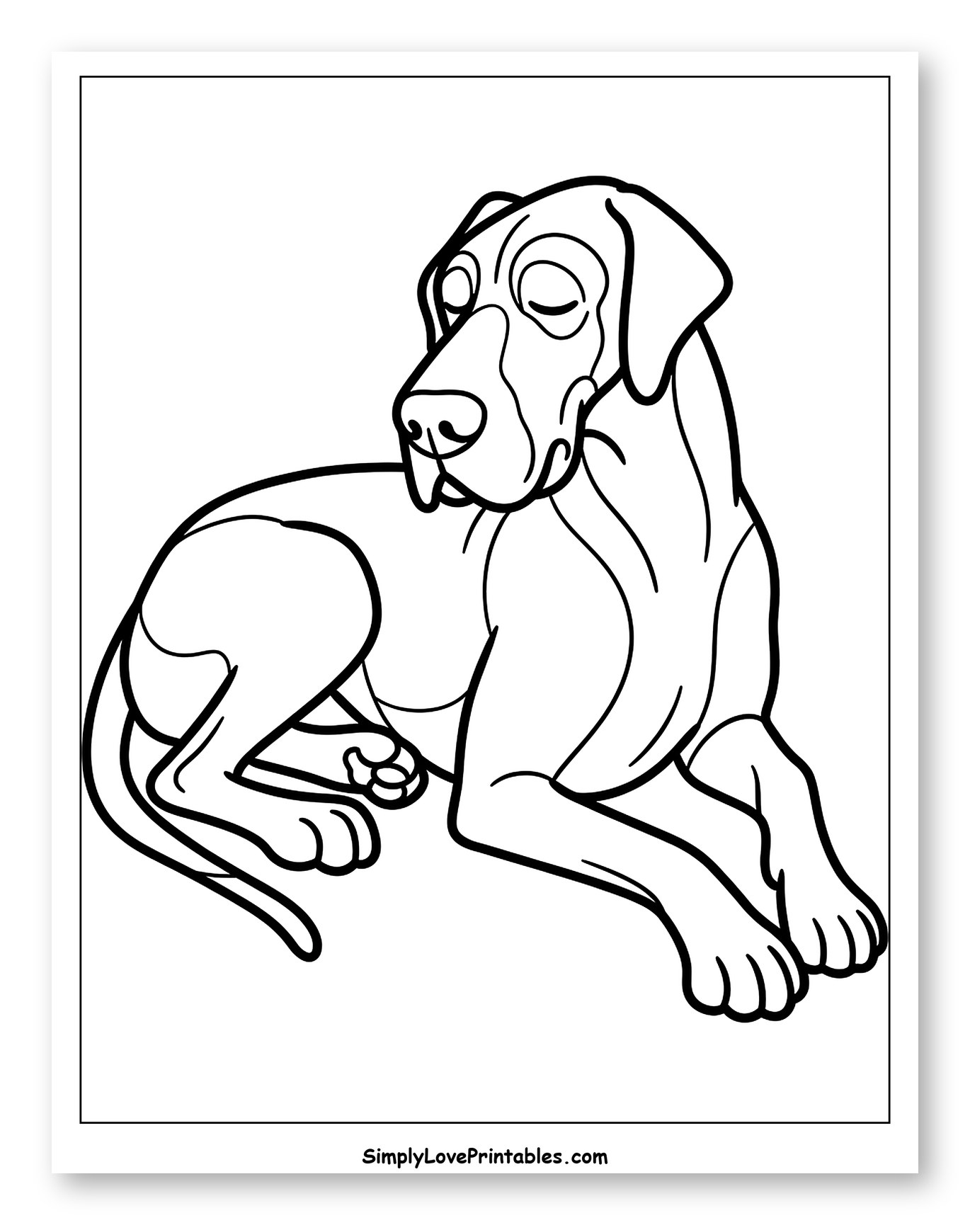Relaxed Great Dane Lying Down