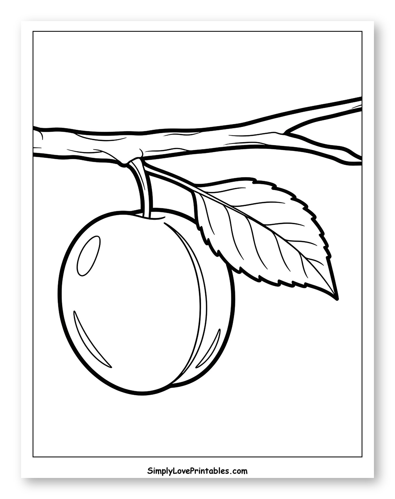 Ripe Plum with a Leaf on a Branch to Color for Toddlers
