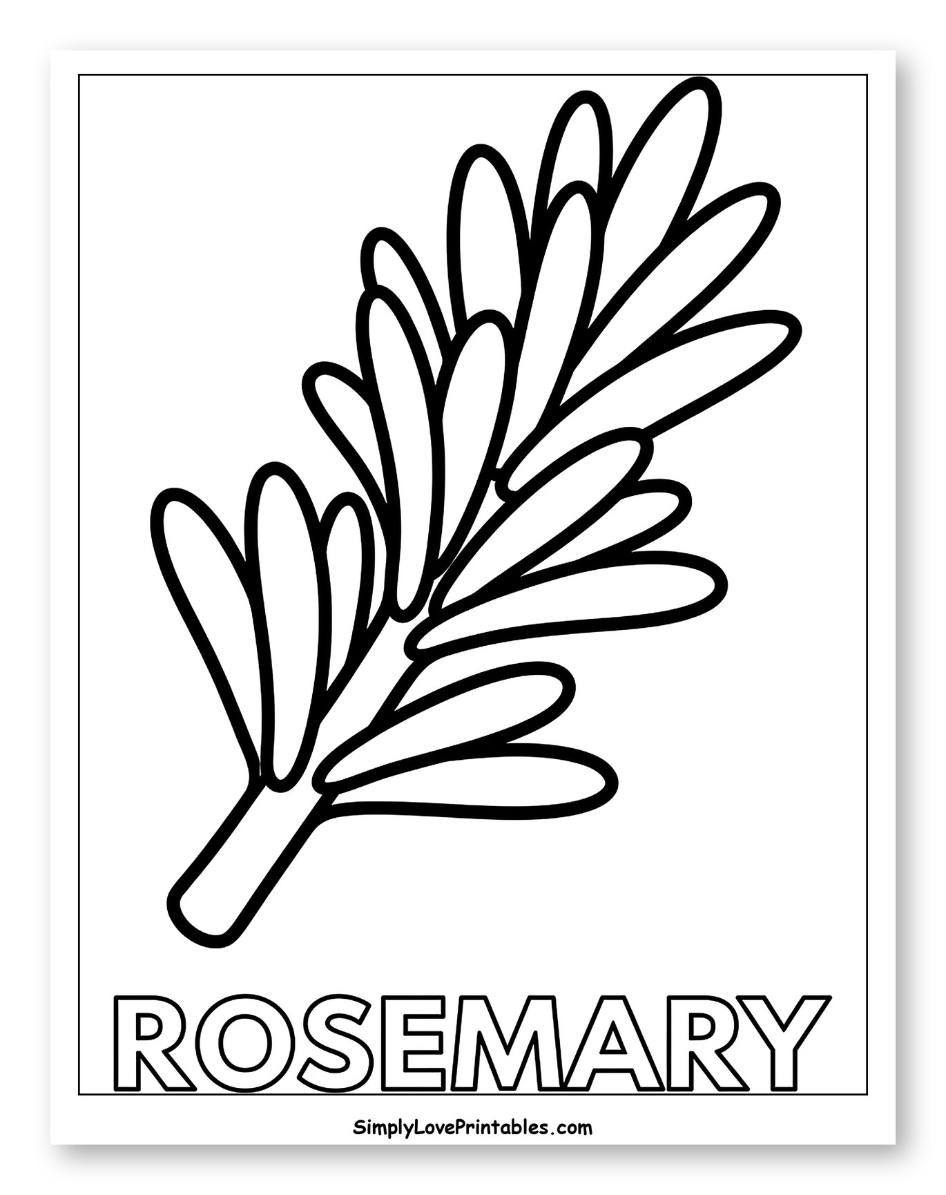 Rosemary Herb Sprig with Text