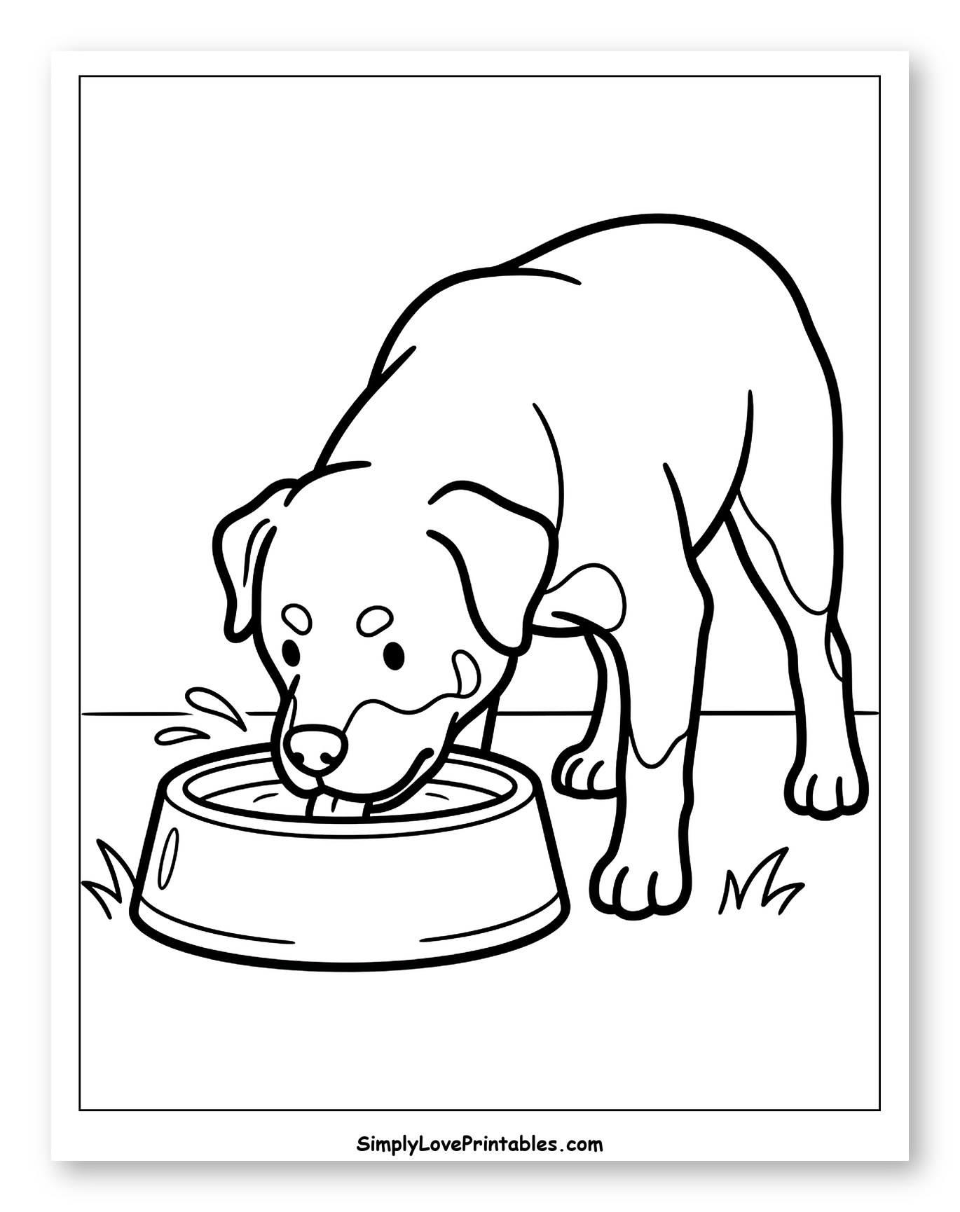 Rottweiler Dog Drinking Water