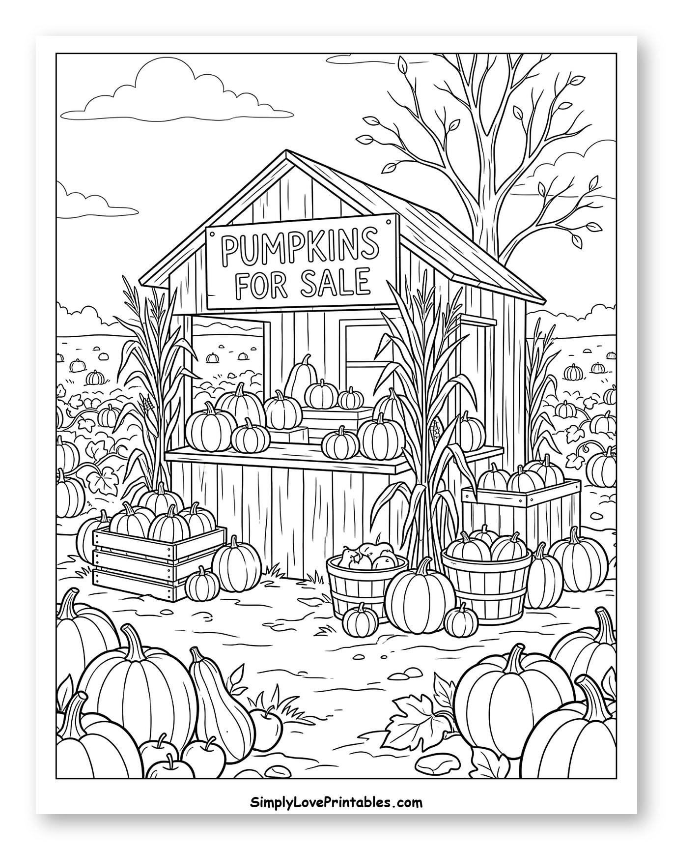 Rustic Pumpkins for Sale Farm Stand