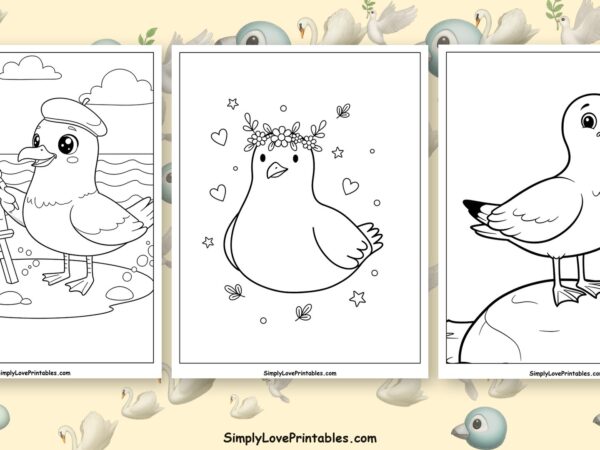 seagull coloring pages featured image