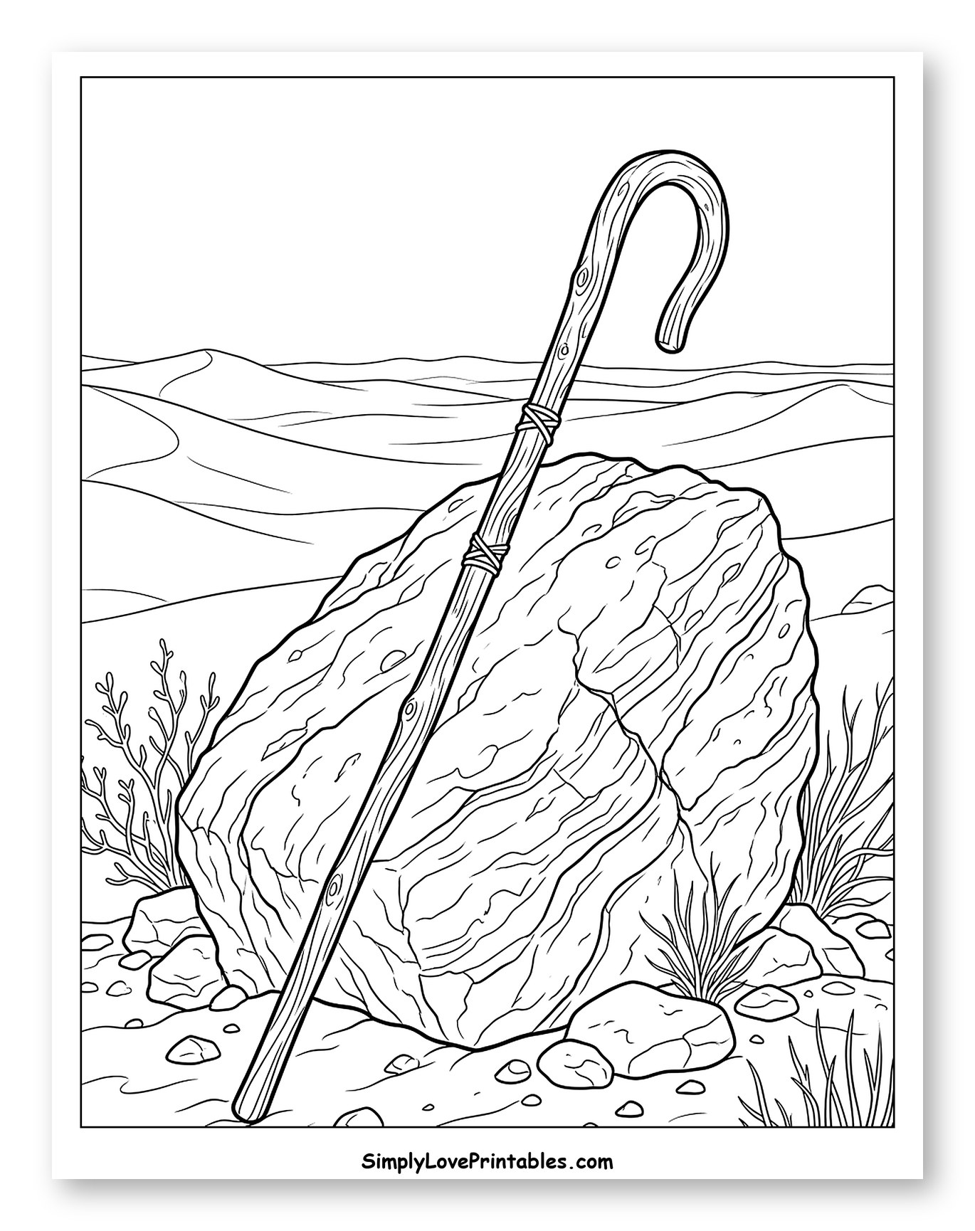 Shepherd's Staff Leaning on Rock in Desert