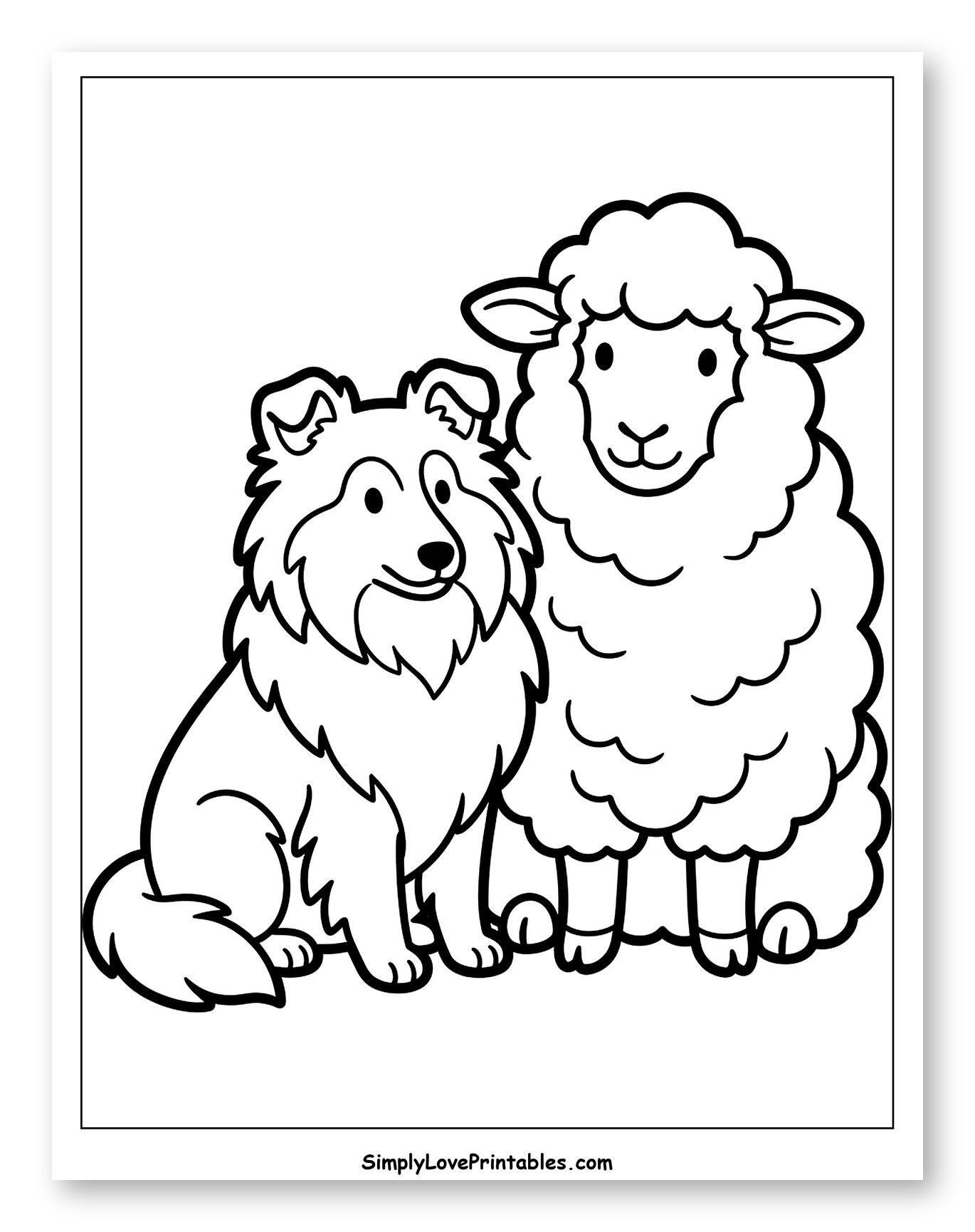 Shetland Sheepdog and a Fluffy Sheep