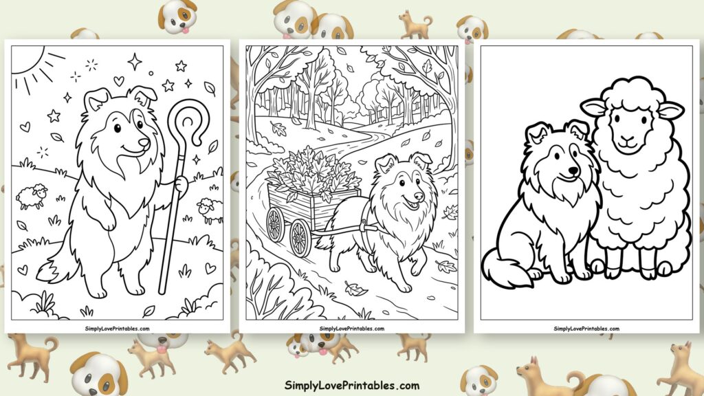 Shetland Sheepdog coloring pages featured image