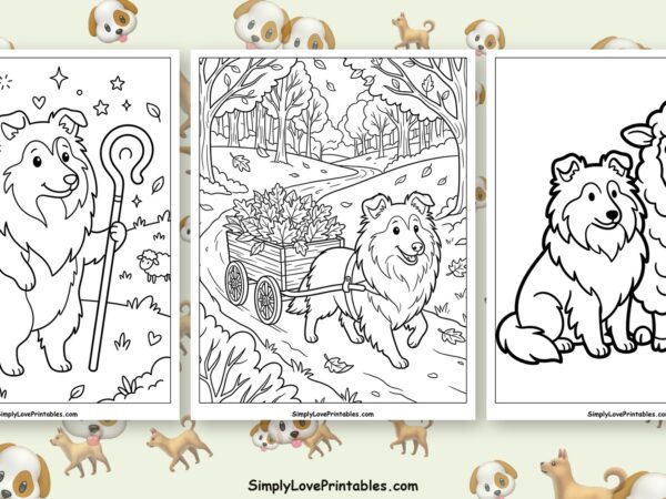 Shetland Sheepdog coloring pages featured image