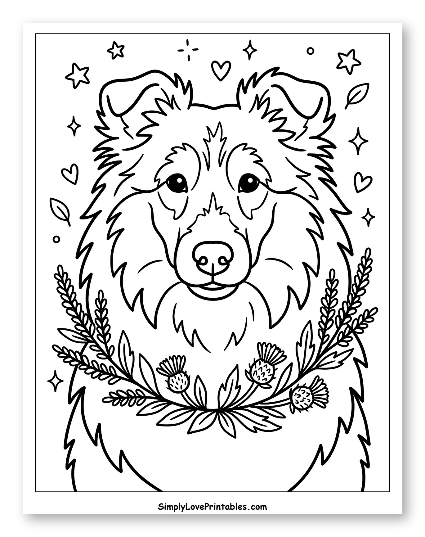 Shetland Sheepdog Face with Thistle Wreath Coloring Sheet for Adults
