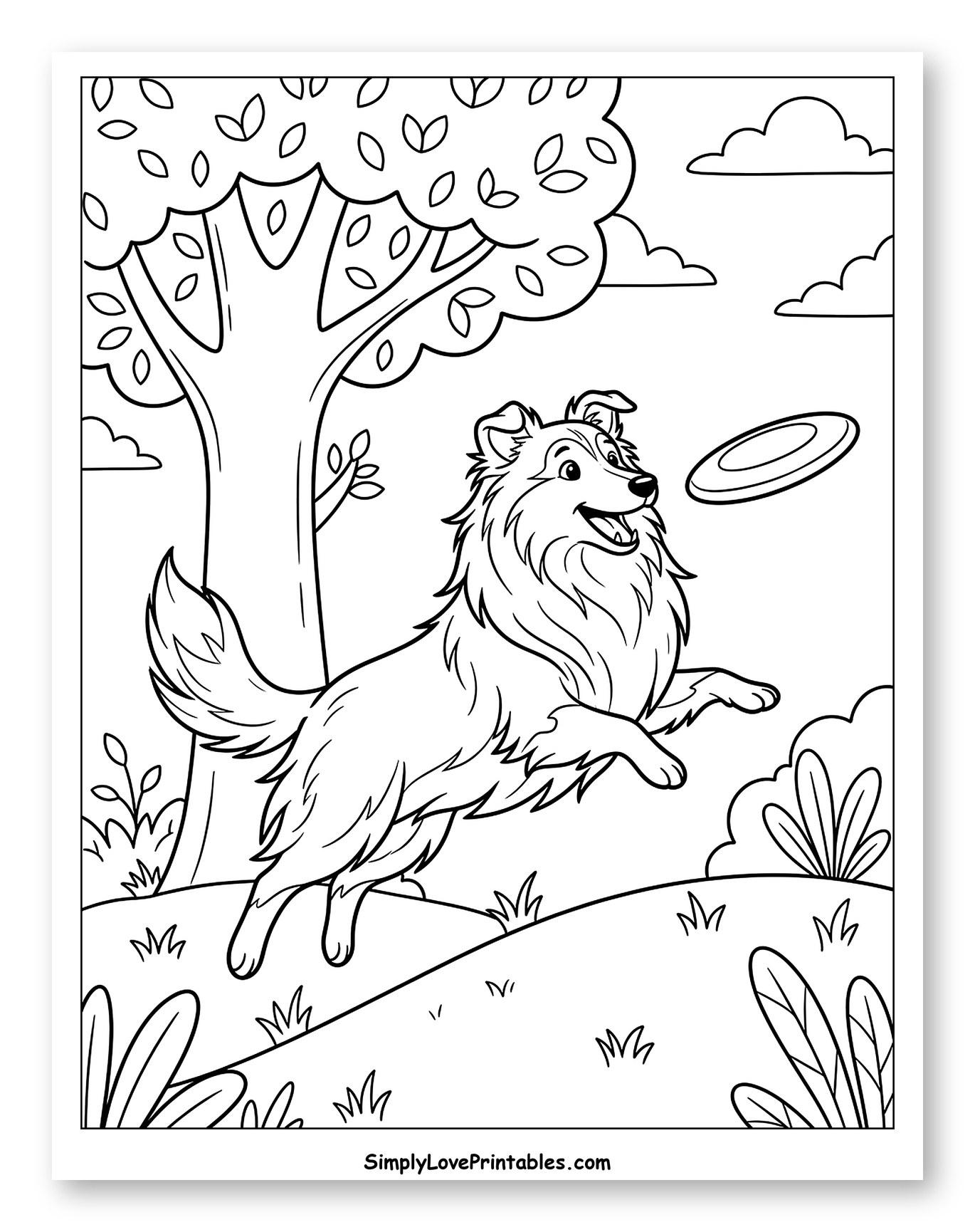Shetland Sheepdog Jumping to Catch Frisbee Coloring Page for Kids